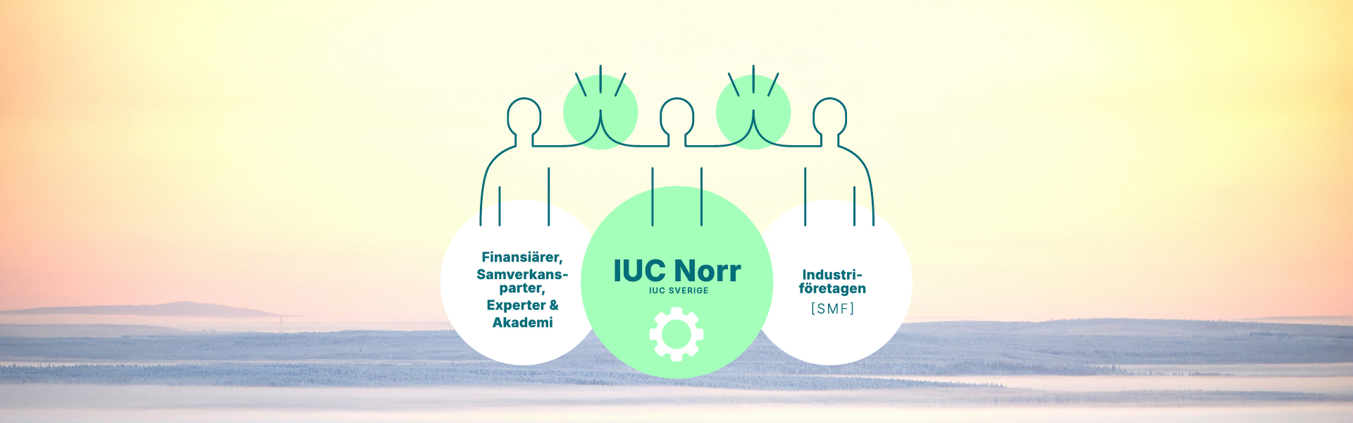 IUC i samverkan mellan samverkansaktörer och industrin