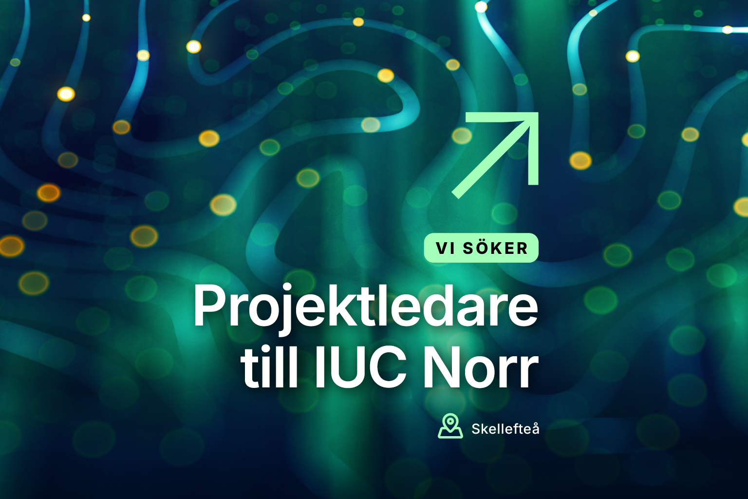 Projektledare till Skellefteå